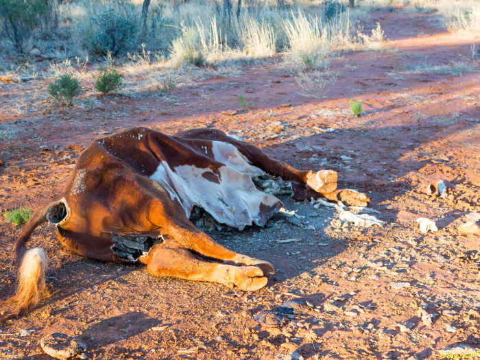 Can you visit Skinwalker Ranch?