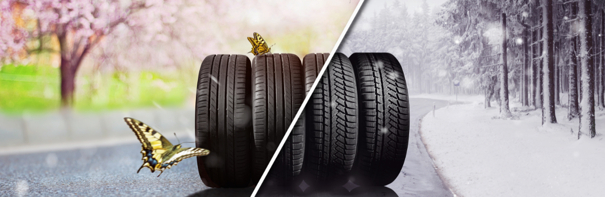 Seasonality and Terrain in Tire Selection
