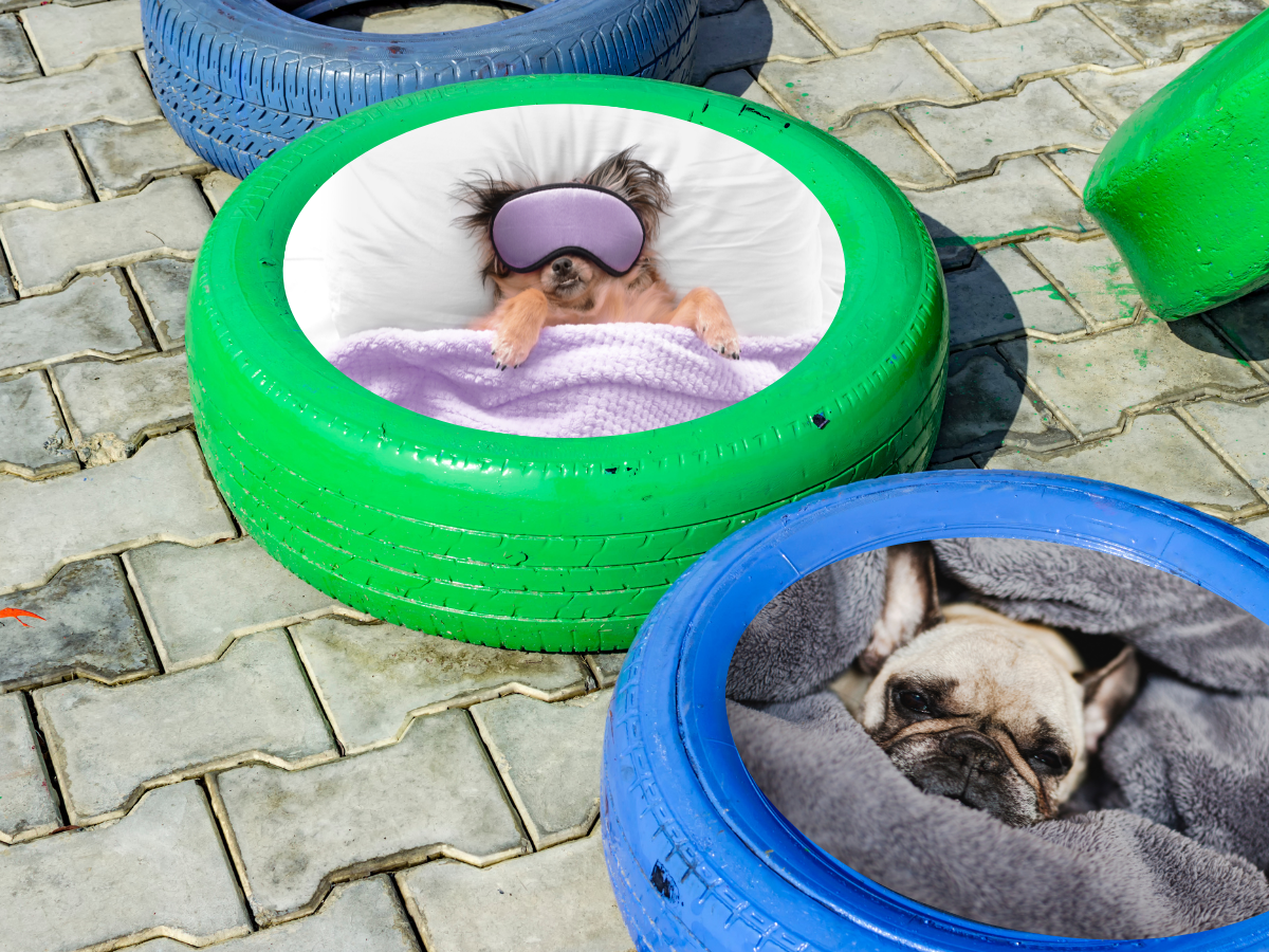 DIY Tire Dog Bed